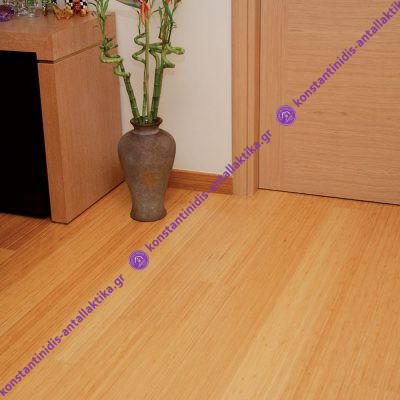 Καθαριστικό Υγρό Πατώματος 1lt - Image 3