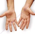 Κρέμα Καθαρισμού Χεριών 500ml - Image 2